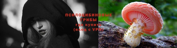 ГАЛЛЮЦИНОГЕННЫЕ ГРИБЫ Беломорск