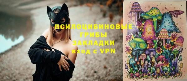 ГАЛЛЮЦИНОГЕННЫЕ ГРИБЫ Беломорск