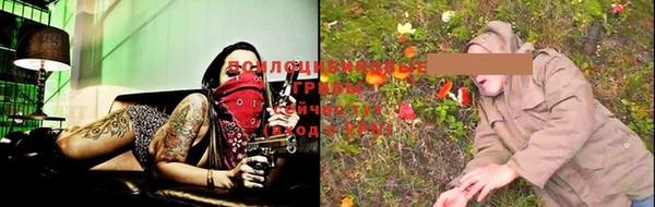 mix Белокуриха