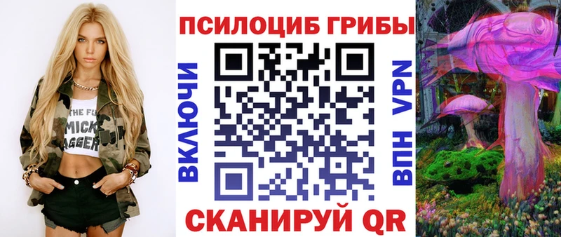 Купить закладки  Губкин  Псилоцибиновые грибы мухоморы 